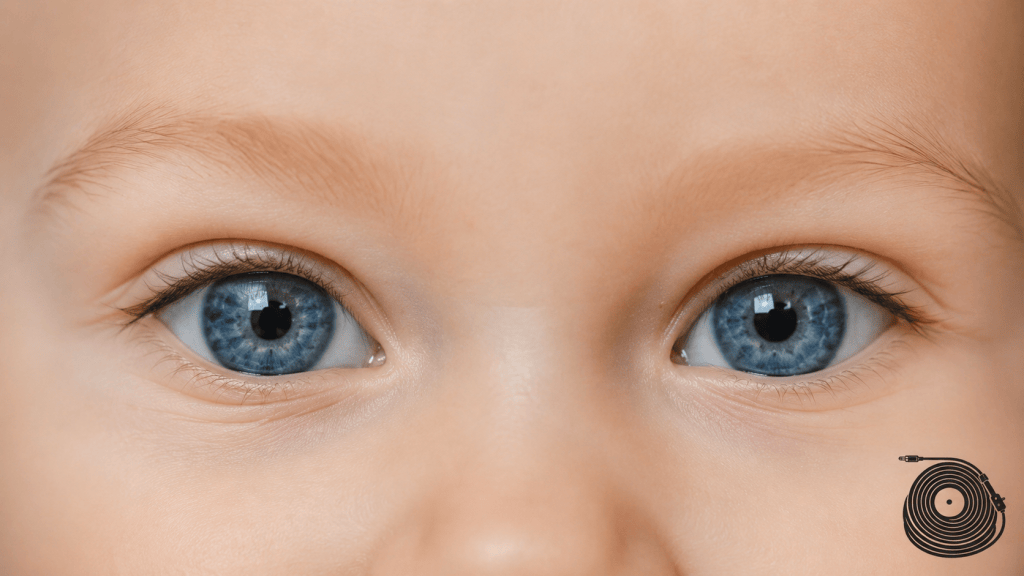 Velvet Underground – Pale Blue Eyes. Dla Stasia