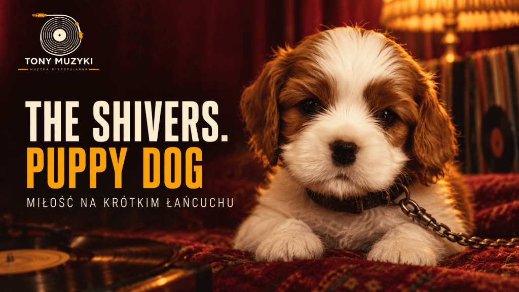 The Shivers – Puppy Dog. Miłość na krótkim łańcuchu